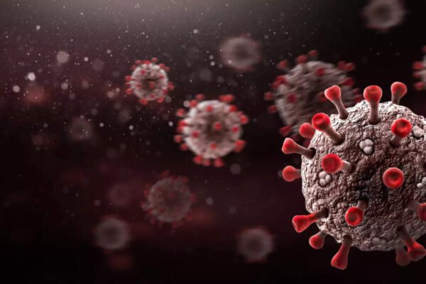 Experts Declare Covid-19 Endemic, Similar to Seasonal Flu, ET HealthWorld Experts Declare Covid-19 Endemic, Similar to Seasonal Flu, ET HealthWorld