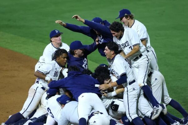 St. John Bosco wins Division 1 baseball title on walk-off single St. John Bosco wins Division 1 baseball title on walk-off single