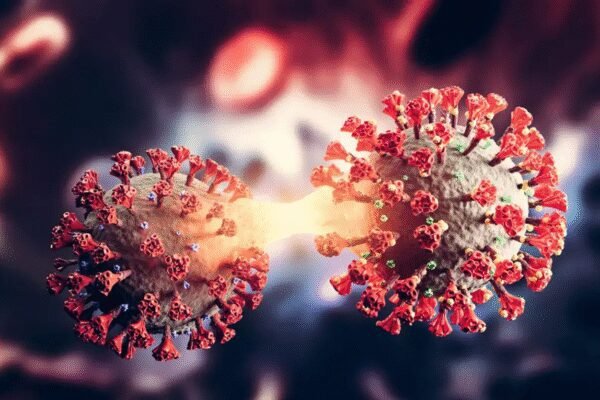 163 Cases of New COVID-19 Variant XFG Detected in India Amid Rising Concerns, ET HealthWorld 163 Cases of New COVID-19 Variant XFG Detected in India Amid Rising Concerns, ET HealthWorld
