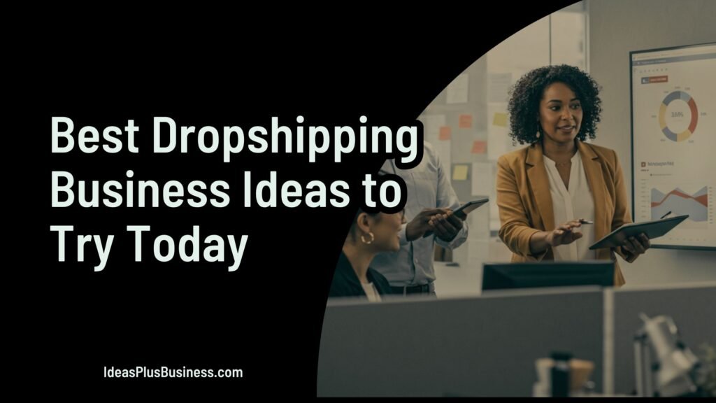 Best Dropshipping Business Ideas to Try Today
