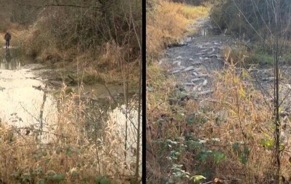 DFO orders halt to gravel mining from salmon-bearing B.C. creek – BC DFO orders halt to gravel mining from salmon-bearing B.C. creek - BC