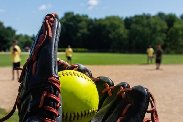 High school baseball and softball: Regional playoff results and pairings High school baseball and softball: Regional playoff results and pairings