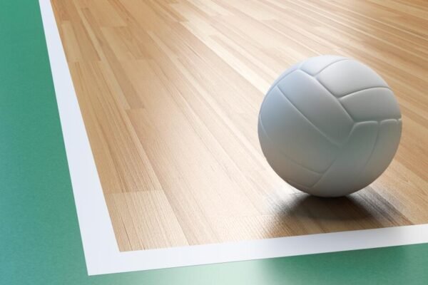 High school boys’ volleyball: State championship results High school boys' volleyball: State championship results