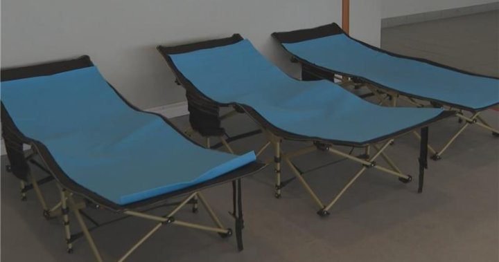 New Brunswick shelters see increased demand during warm summer months - New Brunswick