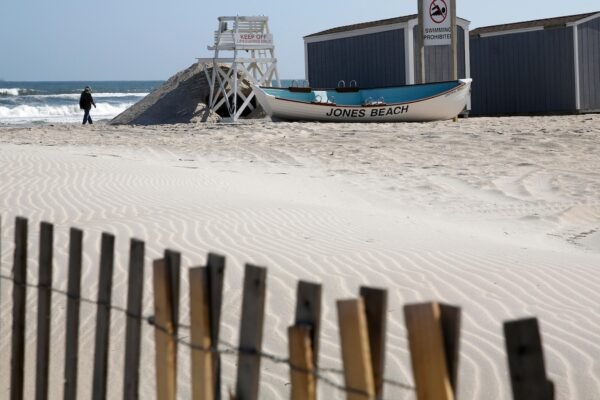 Officials believe young shark bit a woman at a New York beach Officials believe young shark bit a woman at a New York beach