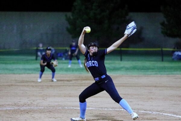 The final top 20 softball rankings in the Southland for 2025 The final top 20 softball rankings in the Southland for 2025