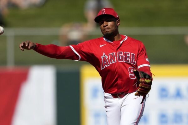 Why MLB owners are bigger fans of the Angels than the Dodgers Why MLB owners are bigger fans of the Angels than the Dodgers